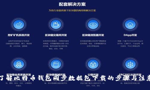 全面了解比特币钱包同步数据包下载的步骤与注意事项