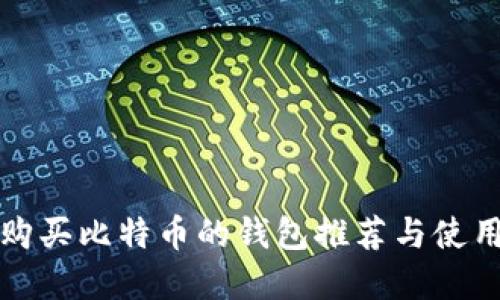 最早购买比特币的钱包推荐与使用指南