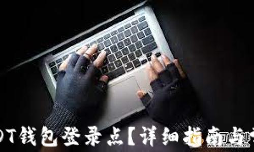 
如何查询USDT钱包登录点？详细指南与常见问题解答