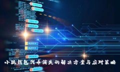 小狐钱包代币消失的解决方案与应对策略