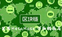 如何安全使用MetaMask：详细指南与注意事项