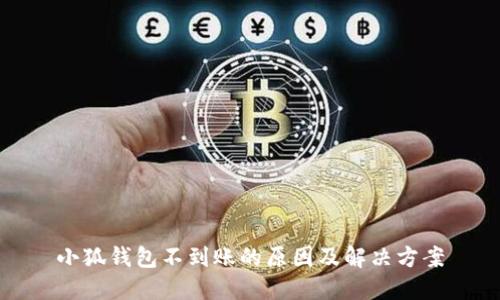 小狐钱包不到账的原因及解决方案