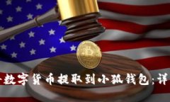 如何将数字货币提取到小