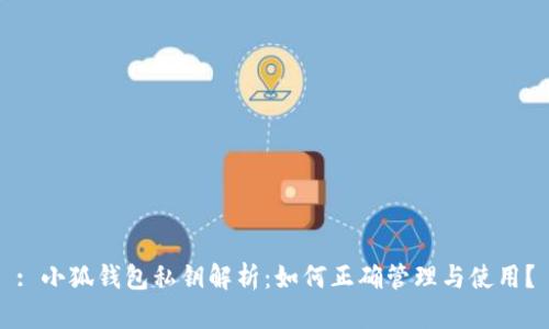 : 小狐钱包私钥解析：如何正确管理与使用？