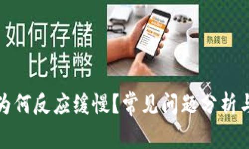 小狐钱包为何反应缓慢？常见问题分析与解决方案