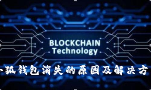 小狐钱包消失的原因及解决方法