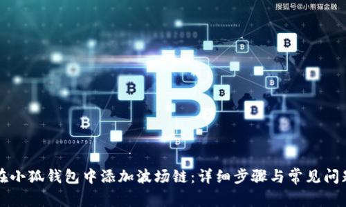 如何在小狐钱包中添加波场链：详细步骤与常见问题解析