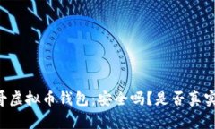 墨西哥虚拟币钱包：安全