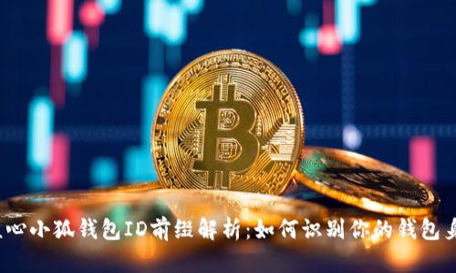  核心小狐钱包ID前缀解析：如何识别你的钱包身份