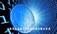 小狐钱包在国内的使用现
