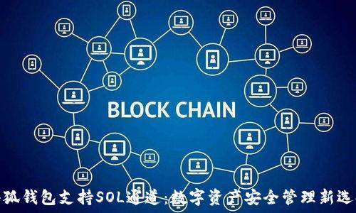  
小狐钱包支持SOL通道：数字资产安全管理新选择