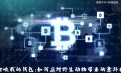 狐狸咬我的钱包：如何应