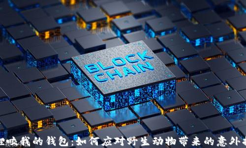 
狐狸咬我的钱包：如何应对野生动物带来的意外损失