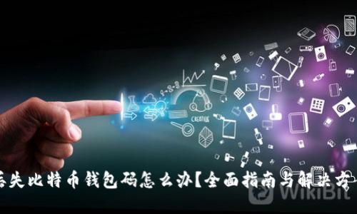 丢失比特币钱包码怎么办？全面指南与解决方案