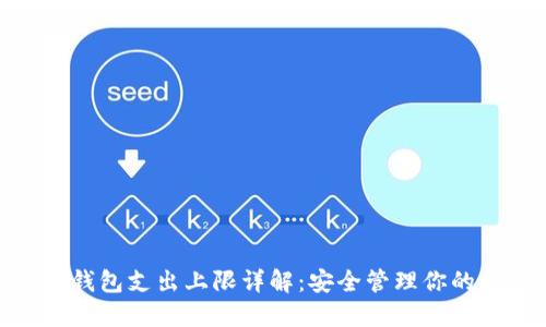 小狐钱包支出上限详解：安全管理你的财务