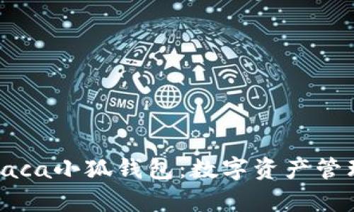 全面解析Raca小狐钱包：数字资产管理的新选择