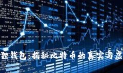 狐狸钱包：揭秘比特币的