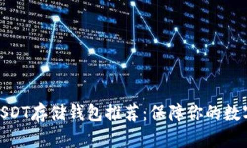 最安全的USDT存储钱包推荐：保障你的数字资产安全