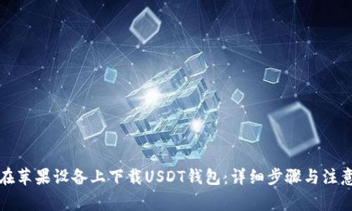如何在苹果设备上下载USDT钱包：详细步骤与注意事项