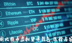 全面解析比特币虚拟货币钱包：选择与安全指南
