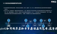 biasoti如何购买虚拟币并存储在钱包中：完整指南
