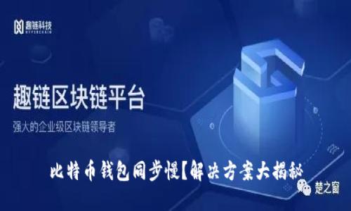 比特币钱包同步慢？解决方案大揭秘