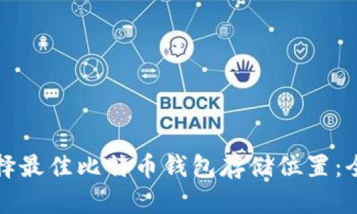 如何选择最佳比特币钱包存储位置：全面指南