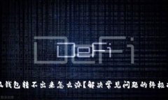 小狐钱包转不出来怎么办