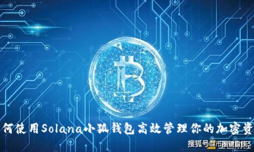如何使用Solana小狐钱包高效管理你的加密资产