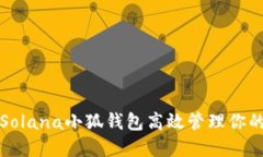如何使用Solana小狐钱包高