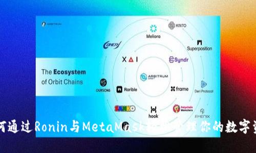 如何通过Ronin与MetaMask轻松管理你的数字资产