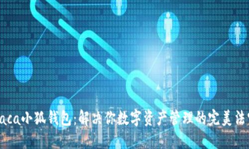 Raca小狐钱包：解决你数字资产管理的完美法宝