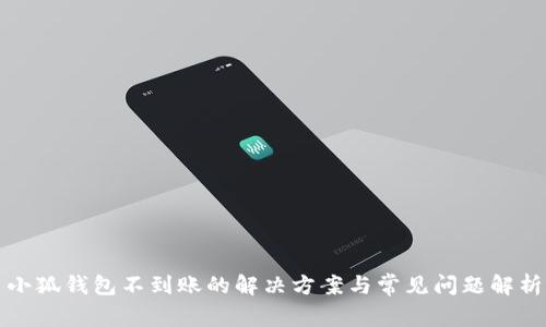 小狐钱包不到账的解决方案与常见问题解析