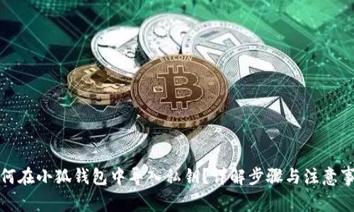 如何在小狐钱包中导入私钥？详解步骤与注意事项