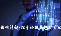 小狐钱包测试网详解：探